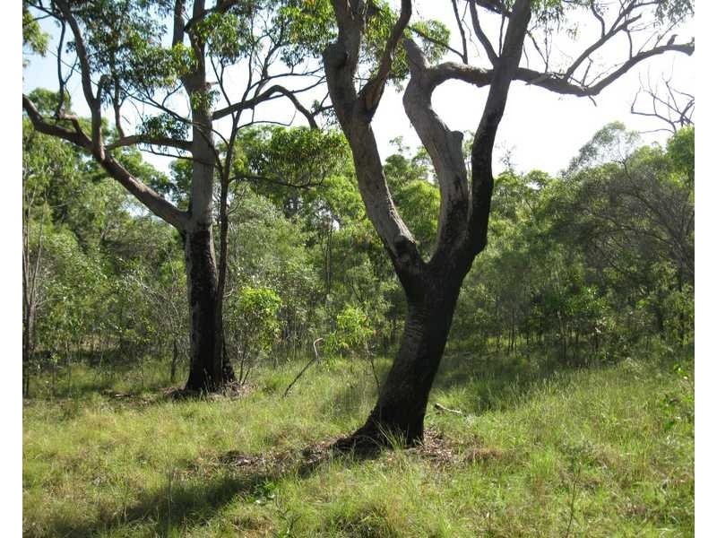 Captain Creek QLD 4677