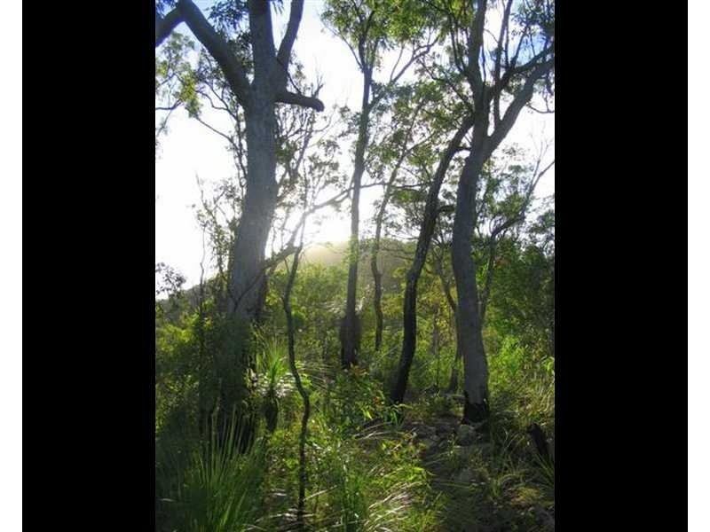Captain Creek QLD 4677
