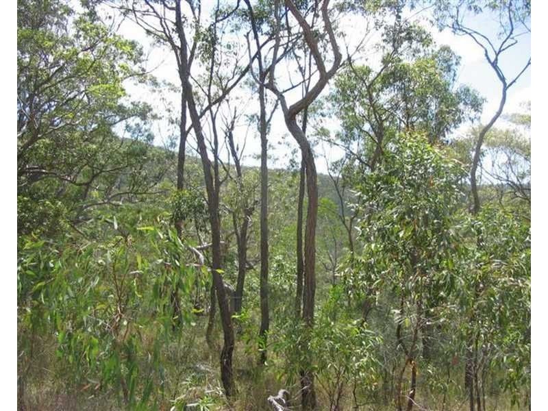 Captain Creek QLD 4677
