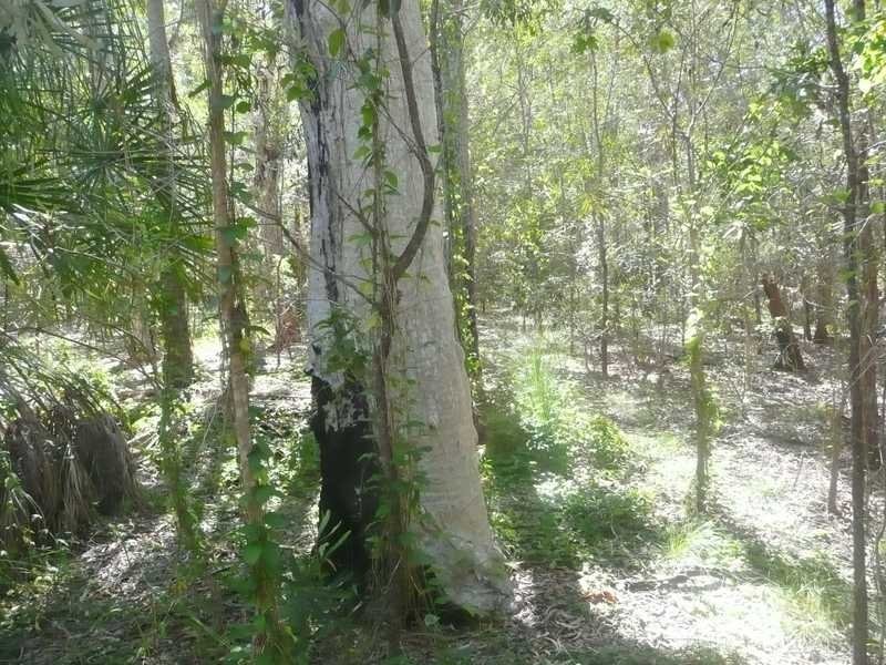Captain Creek QLD 4677