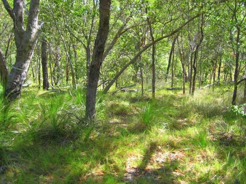 Captain Creek QLD 4677