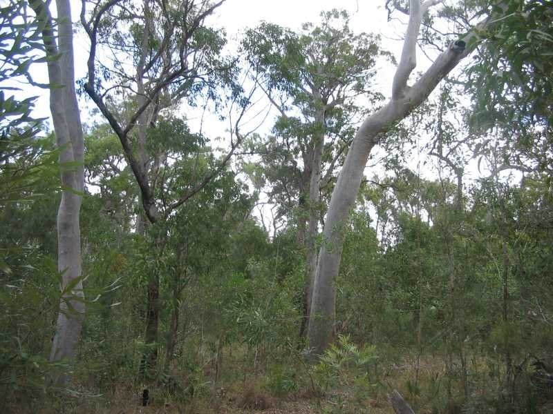 Captain Creek QLD 4677