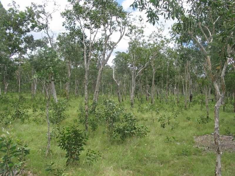 Captain Creek QLD 4677