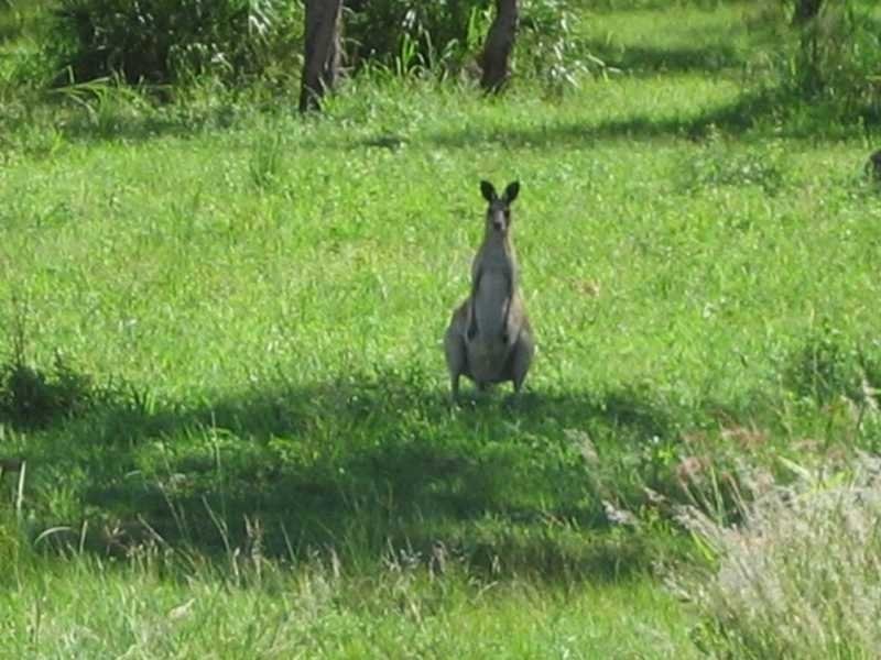 Captain Creek QLD 4677