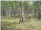Captain Creek QLD 4677