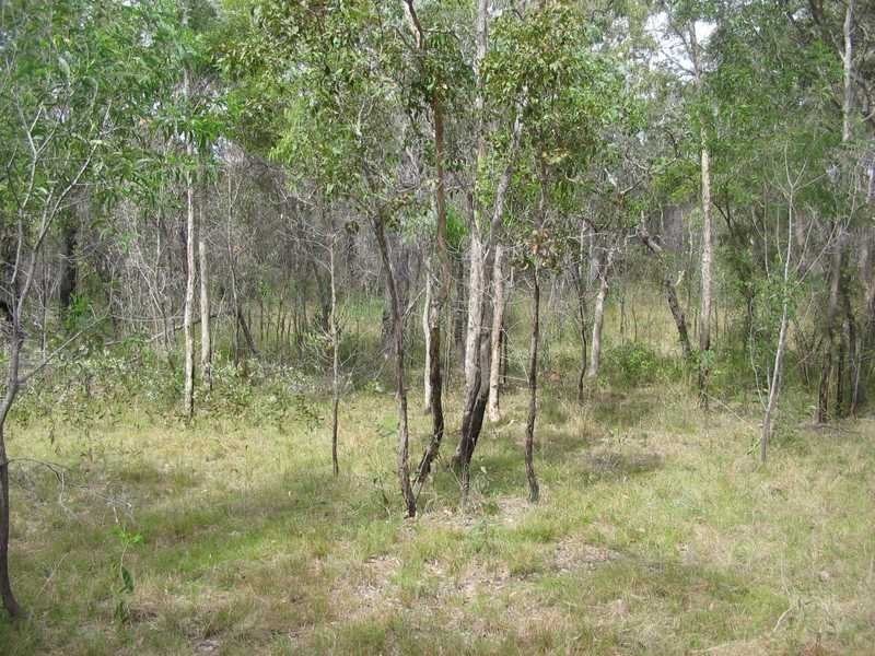 Captain Creek QLD 4677