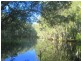 Captain Creek QLD 4677