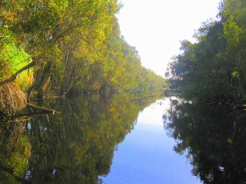 Captain Creek QLD 4677