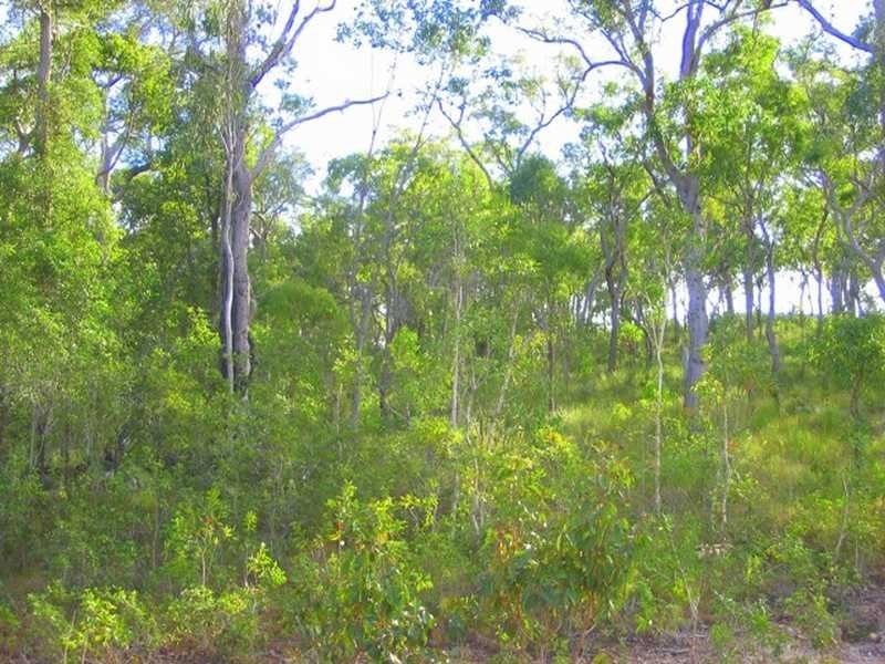 Captain Creek QLD 4677