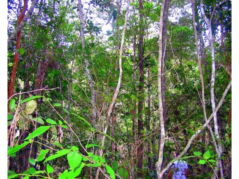 Captain Creek QLD 4677