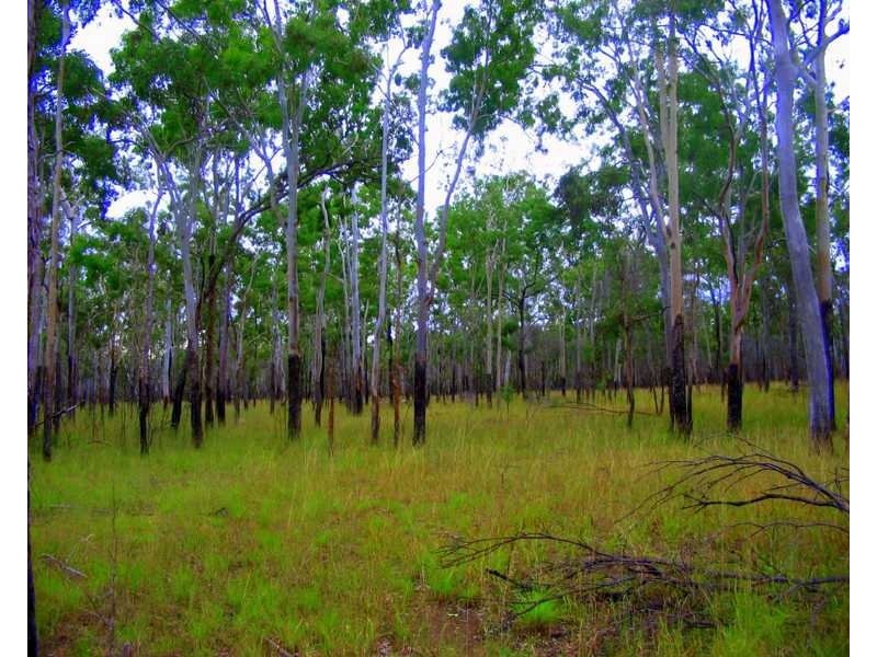 Captain Creek QLD 4677