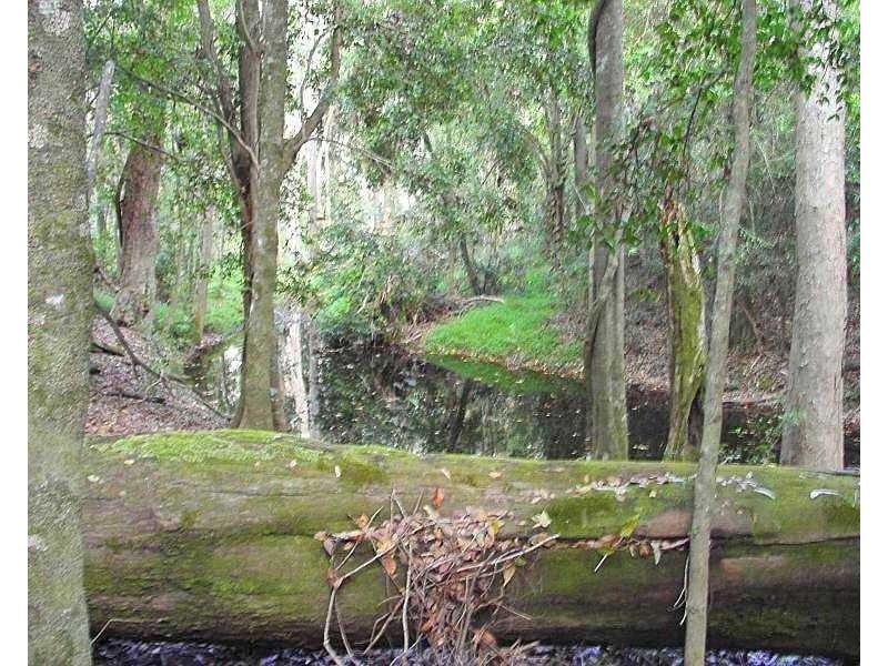 Captain Creek QLD 4677