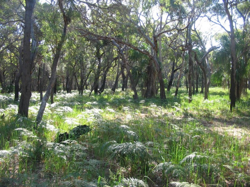 Agnes Water QLD 4677