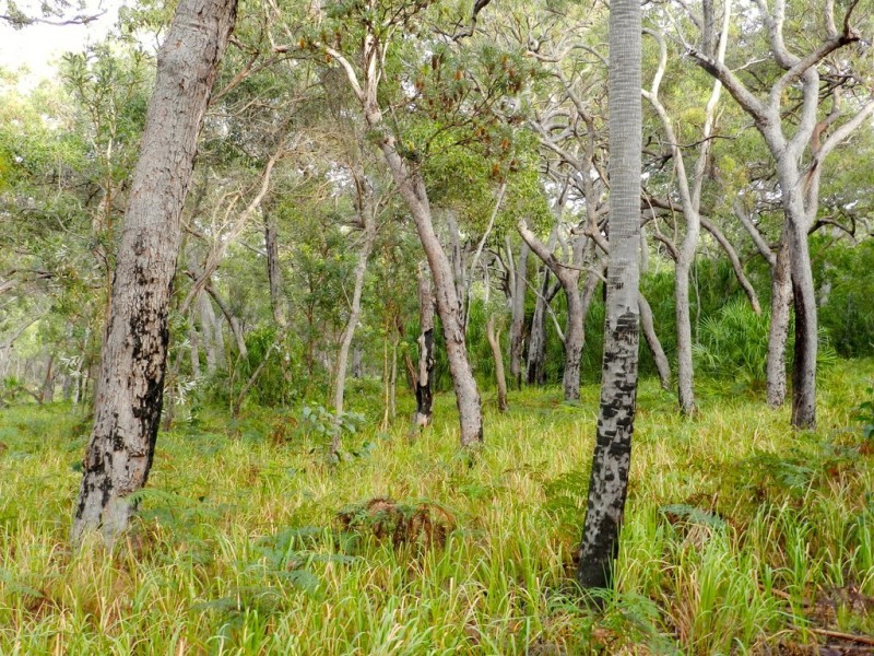 Agnes Water QLD 4677