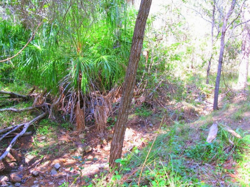 Agnes Water QLD 4677