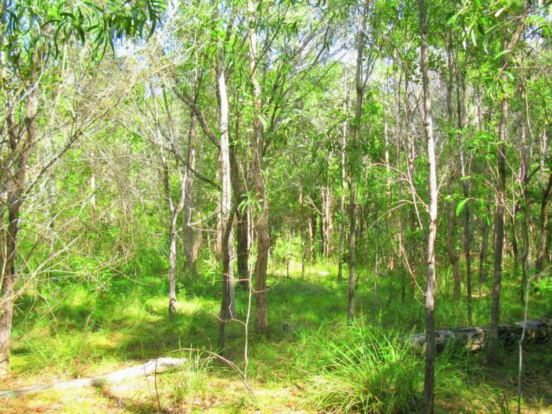 Agnes Water QLD 4677