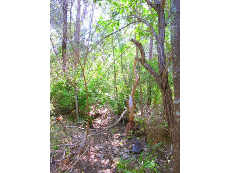 Agnes Water QLD 4677