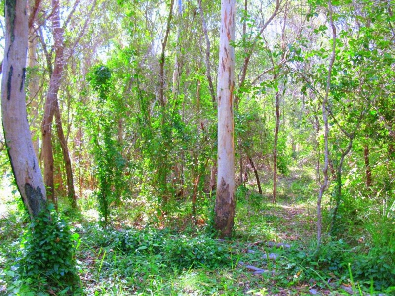 Agnes Water QLD 4677