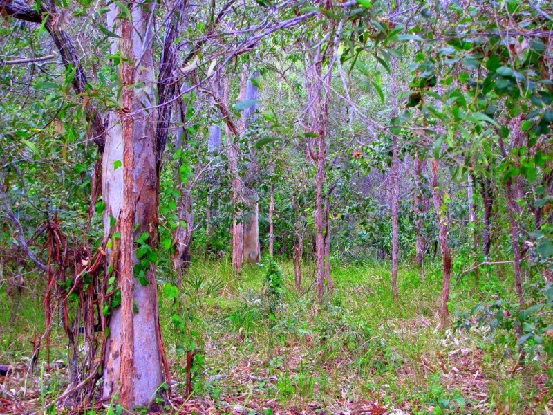 Agnes Water QLD 4677