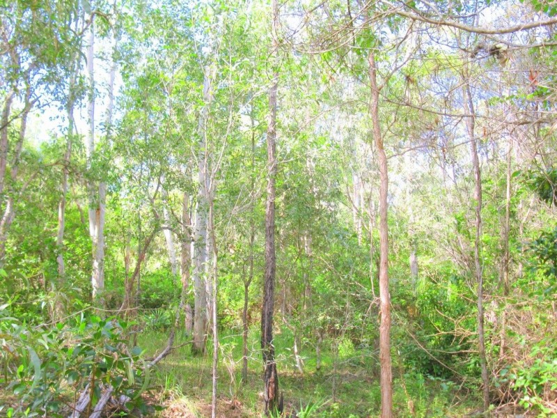 Agnes Water QLD 4677