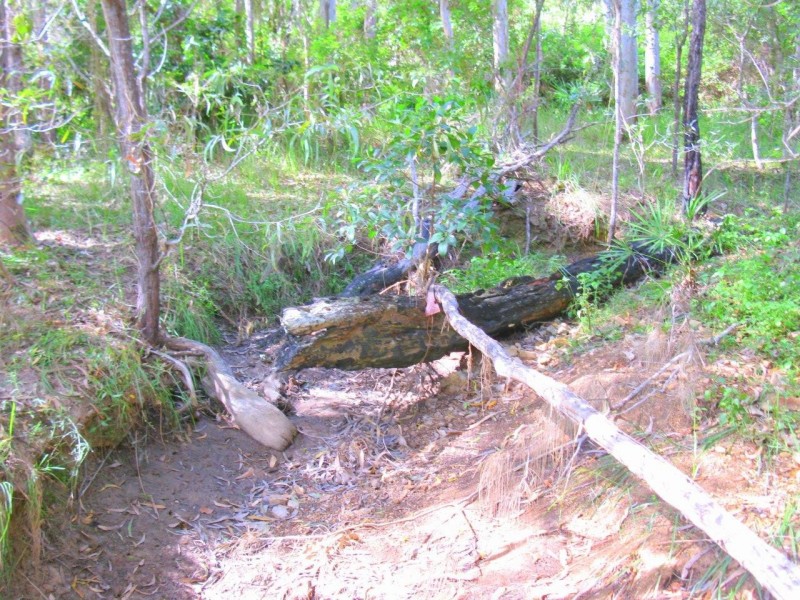 Agnes Water QLD 4677