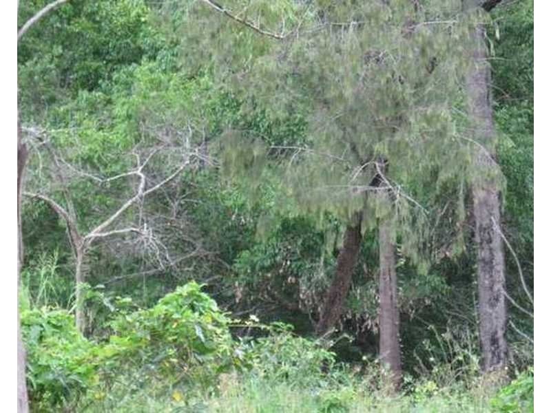 Captain Creek QLD 4677