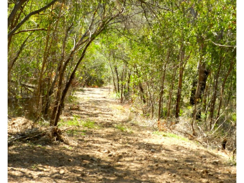 Agnes Water QLD 4677