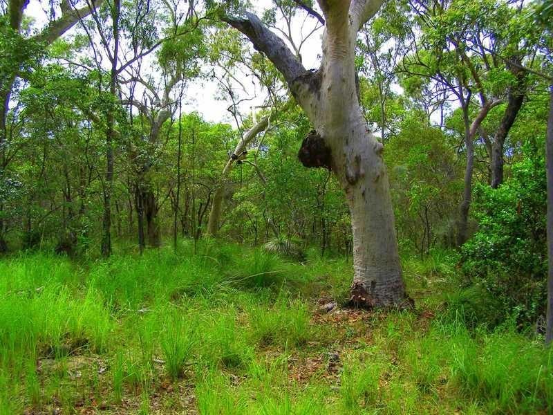 Lot 194 Countess Russell Crescent, Agnes Water QLD 4677