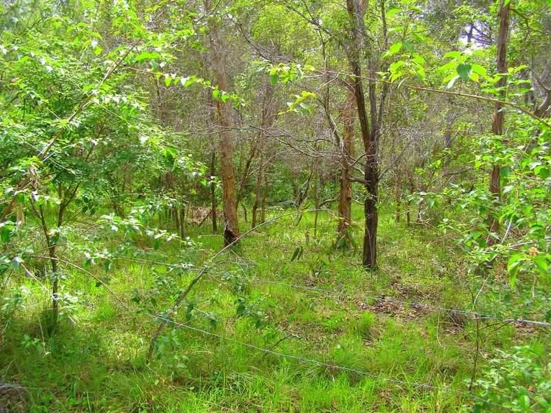 Lot 194 Countess Russell Crescent, Agnes Water QLD 4677