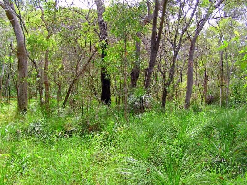 Lot 194 Countess Russell Crescent, Agnes Water QLD 4677