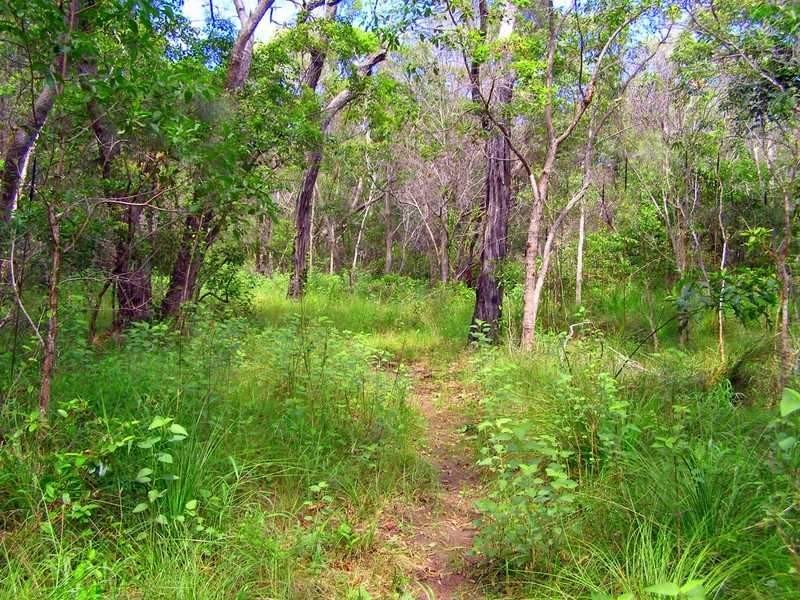 Lot 194 Countess Russell Crescent, Agnes Water QLD 4677