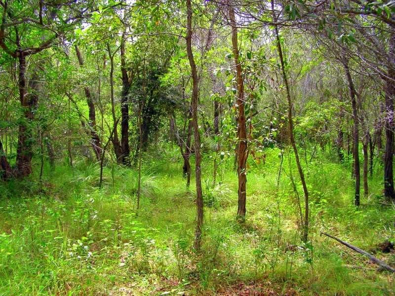 Lot 194 Countess Russell Crescent, Agnes Water QLD 4677