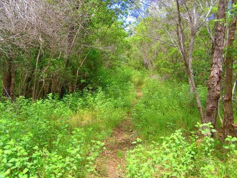 Lot 194 Countess Russell Crescent, Agnes Water QLD 4677