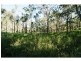 Lot 41 Creevey Drive, Captain Creek QLD 4677