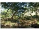 Lot 41 Creevey Drive, Captain Creek QLD 4677