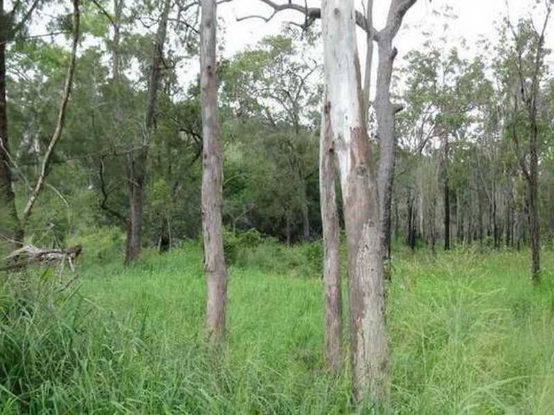 Lot 41 Creevey Drive, Captain Creek QLD 4677
