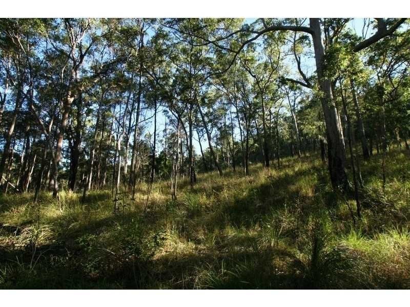 Lot 41 Creevey Drive, Captain Creek QLD 4677