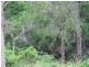 Lot 41 Creevey Drive, Captain Creek QLD 4677