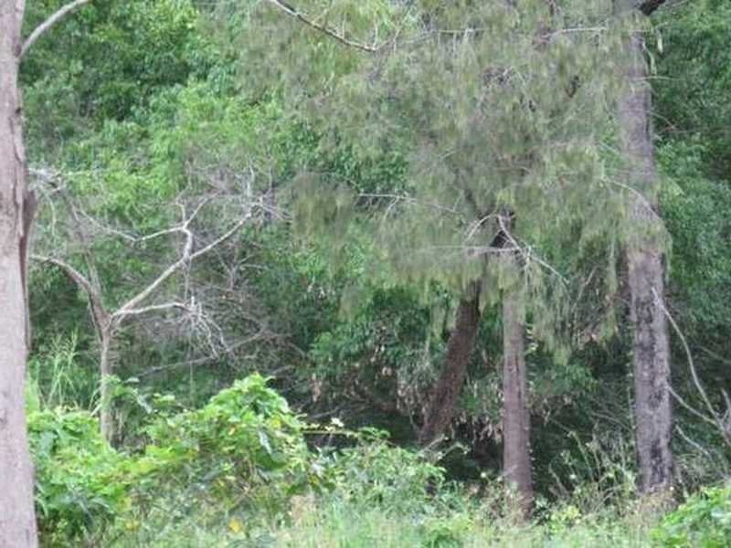 Lot 41 Creevey Drive, Captain Creek QLD 4677