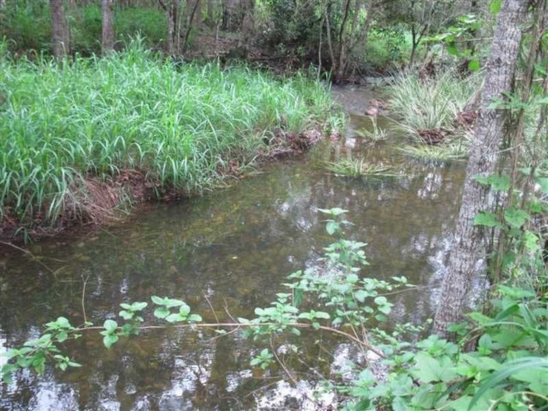Lot 41 Creevey Drive, Captain Creek QLD 4677
