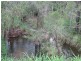 Lot 41 Creevey Drive, Captain Creek QLD 4677