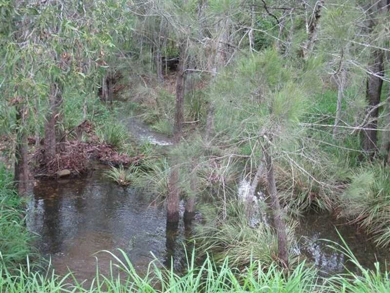 Lot 41 Creevey Drive, Captain Creek QLD 4677