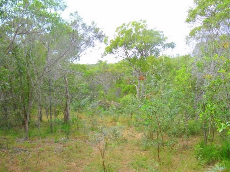 Lot 513, 0 Wilson Drive, Agnes Water QLD 4677