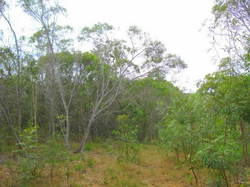 Lot 513, 0 Wilson Drive, Agnes Water QLD 4677
