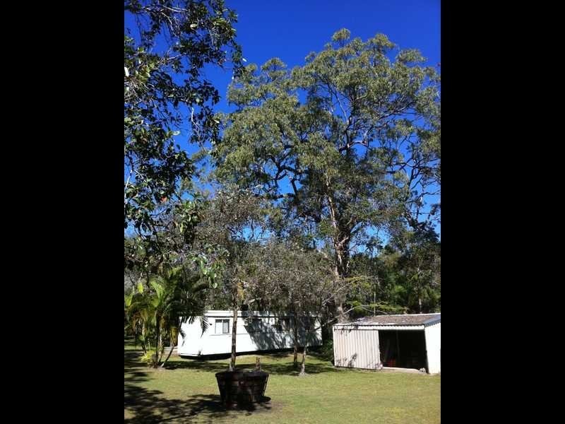 102 Innamincka Way, Agnes Water QLD 4677