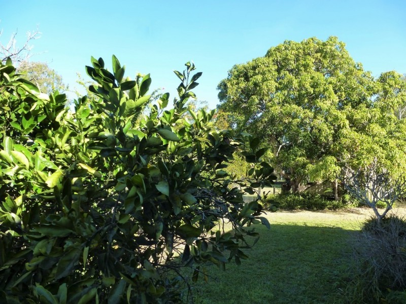 41 Roe Street, Miriam Vale QLD 4677