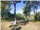 16 Shady Lane, Agnes Water QLD 4677