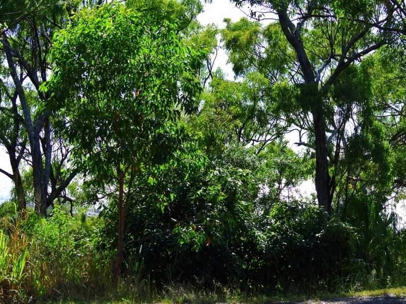 30 Woodrow Drive, Agnes Water QLD 4677