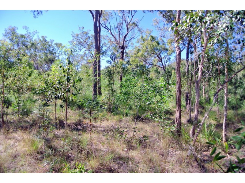 Lot 3 Dillon Road, Captain Creek QLD 4677
