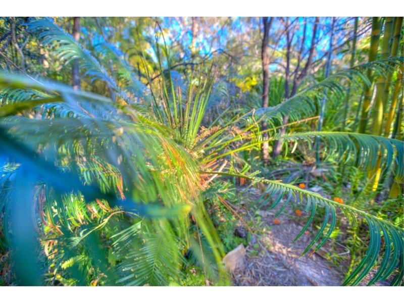 286 Streeter Drive, Agnes Water QLD 4677